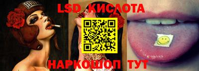 дмт Камышлов