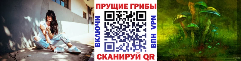 Псилоцибиновые грибы мухоморы  магазин продажи   Якутск 