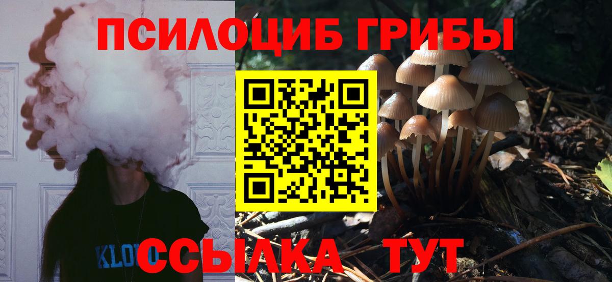 Галлюциногенные грибы GOLDEN TEACHER Якутск