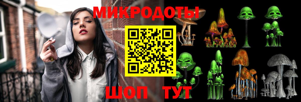 закладка  Вход с VPN  Галлюциногенные грибы мицелий  Якутск  Псилоцибиновые грибы GOLDEN TEACHER 